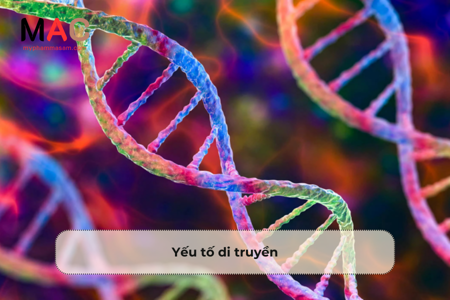 Yếu tố di truyền